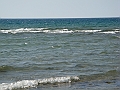 Western Michigan [2010] 869